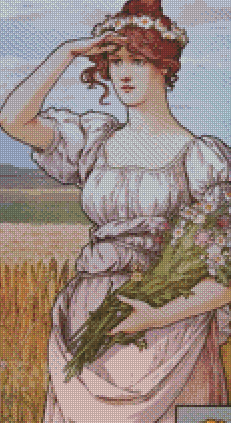 40x85 ( Crop Recommended) / Crop / Round Drill
