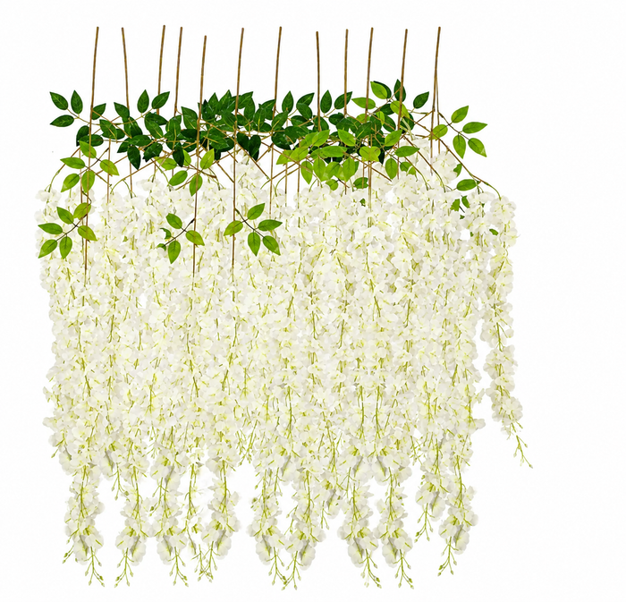 WISTERIA