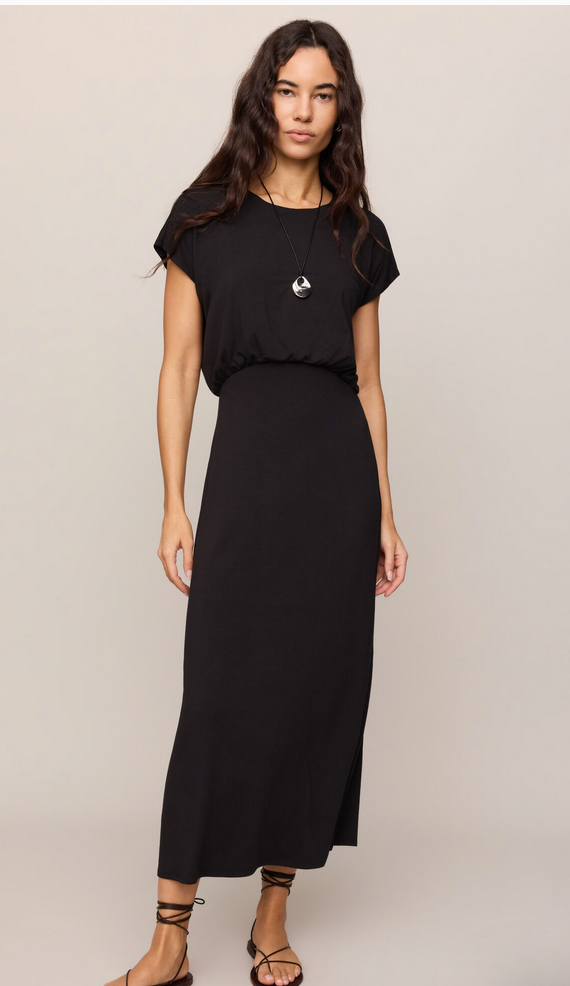 Z Supply Anika Midi Dress