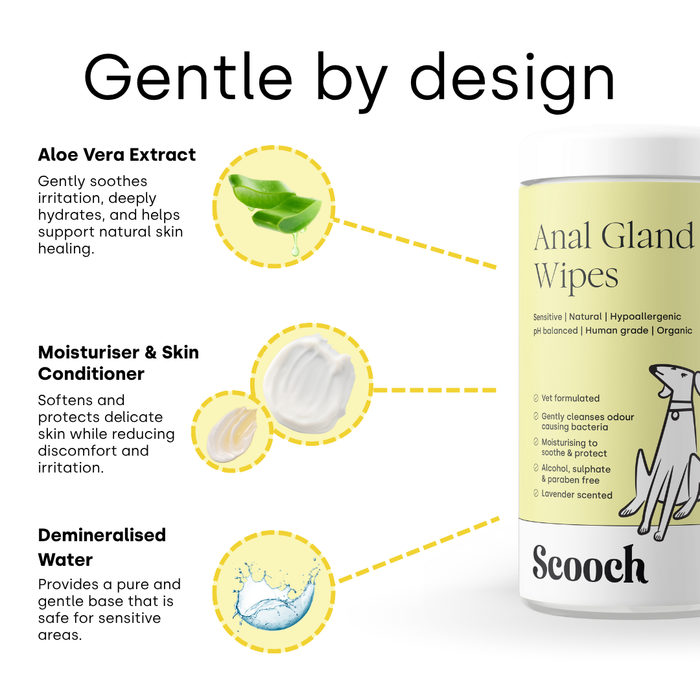 Anal Gland wipes