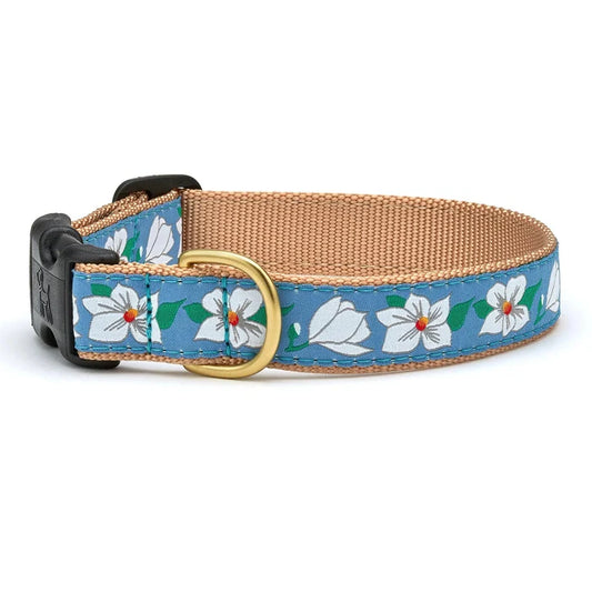 Collar | Magnolia