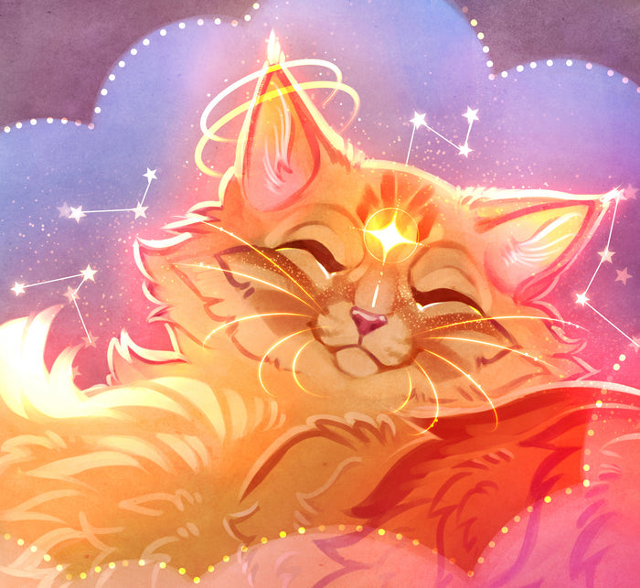 Dreamer Kitty