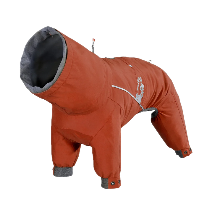 Orange dog coat with gray hood on a white background