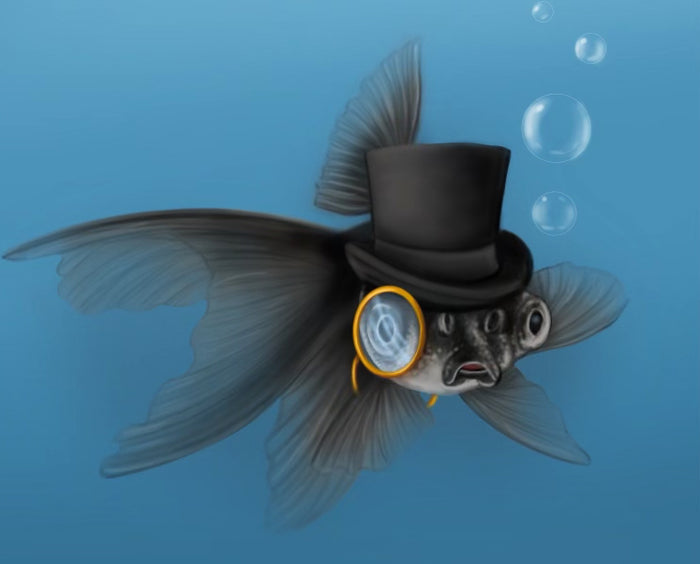Harold the Fancy Goldfish