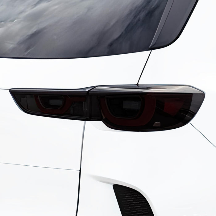 Rear Tint Kit (DARK)