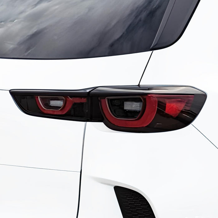 Rear Tint Kit (CLEAR)