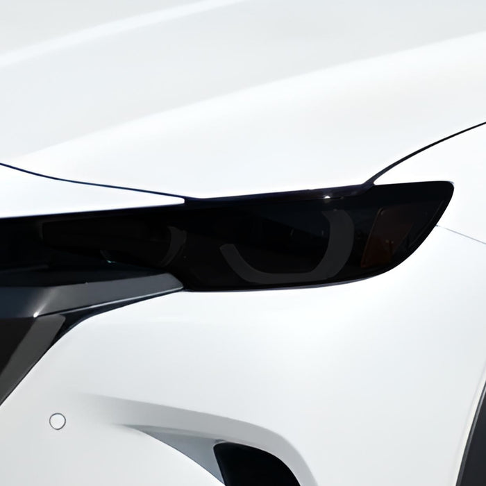 Front Tint Kit (DARK)
