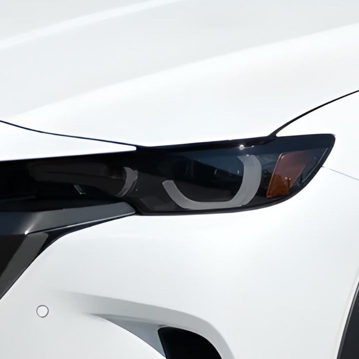Front Tint Kit (LIGHT)