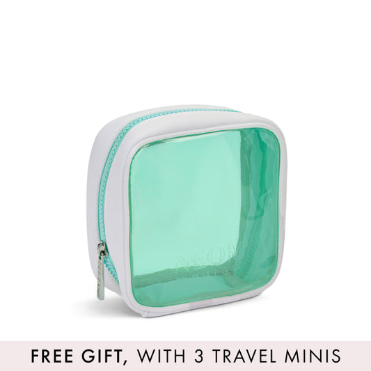 Mint Travel Bag
