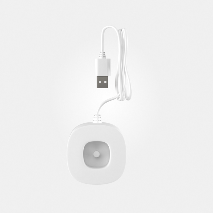 Color : White; Adult Brush Charging Base