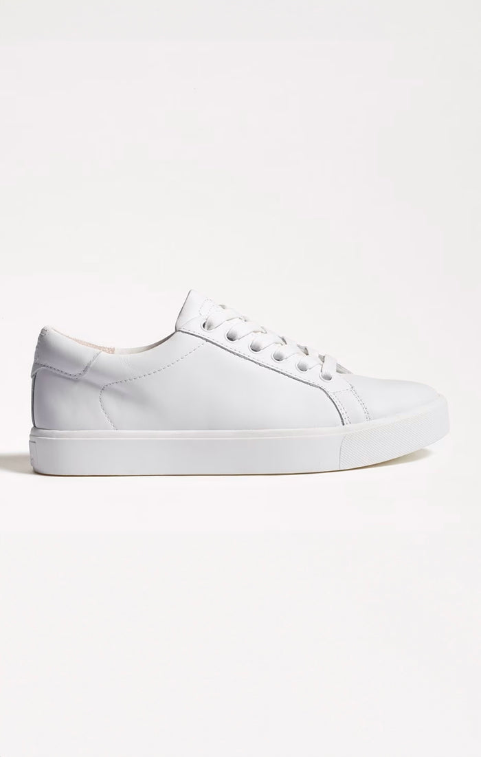 Sam Edelman Ethyl Sneaker ~ White