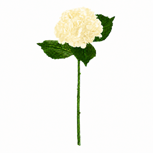 SINGLE STEM HYDRANGEA