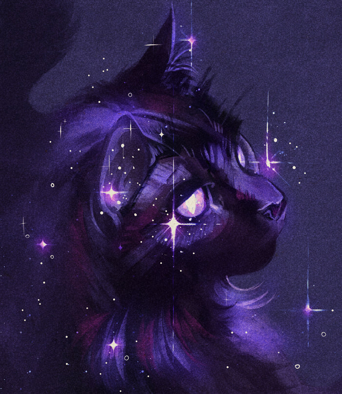 Star Kitty