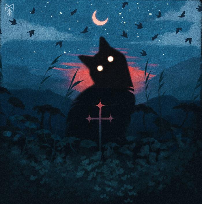 The Watcher