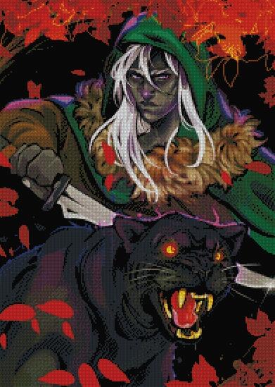 Warrior And His Panther
