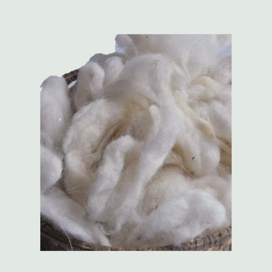 Wool Fibre Merino - Scoured - Mojopanda Organic  Store